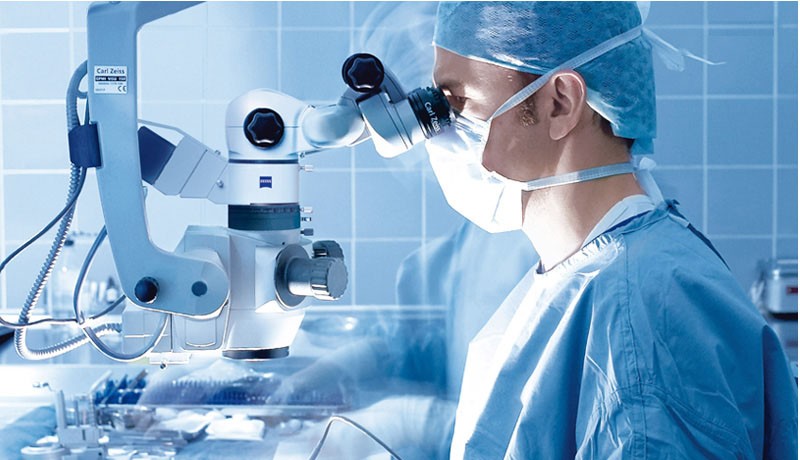 Crispr/Cas9基因編輯細(xì)胞系服務(wù)