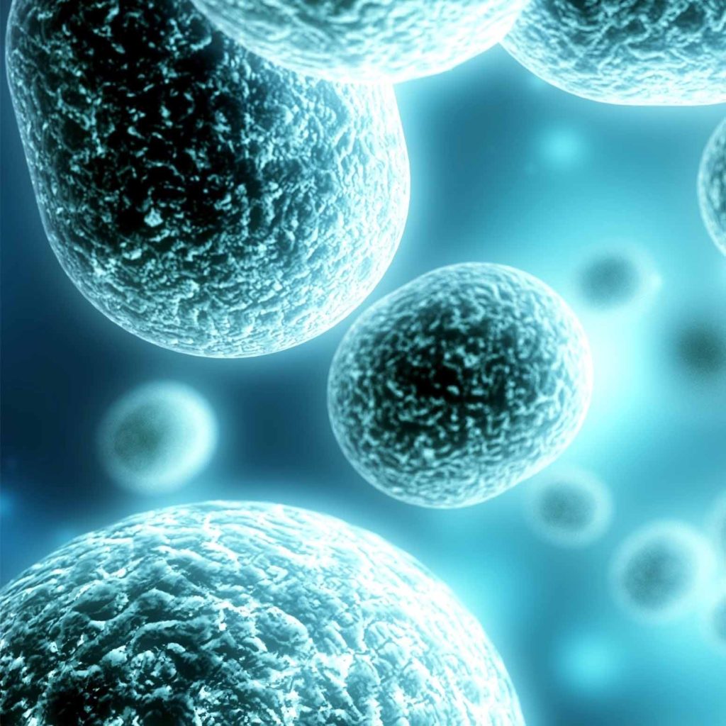 雙熒光素酶驗(yàn)證服務(wù)