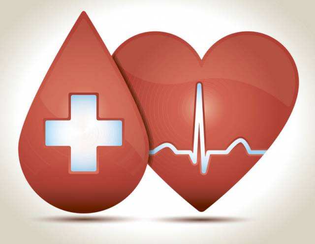 心血管藥物藥效模型